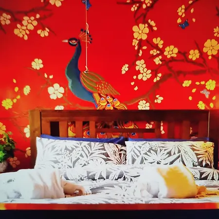 Javi Place 2ks * Dublin