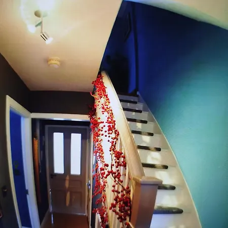 Javi Place 2ks فندق مبيت وإفطار *