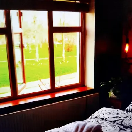 Javi Place 2ks * Dublin